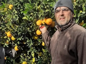 Fabio Sicola