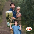 Olio Evo Siciliae dal tuo albero | Arance e Olio Evo di Ribera dal tuo albero siciliano famiglia olio siciliae smartphone