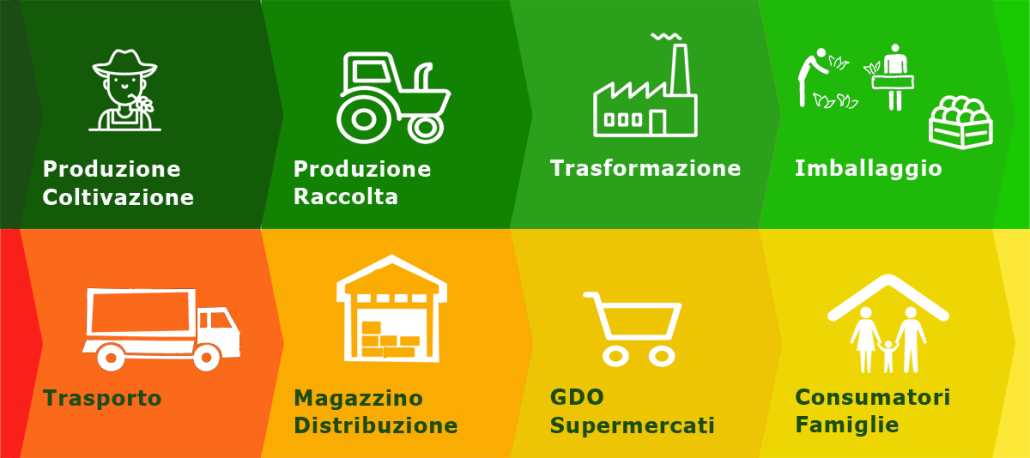 Mandarino Tardivo di Ciaculli | Arance e Olio Evo di Ribera dal tuo albero siciliano Filiera lunga