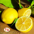 Limoni di Ribera - Qualità Premium | Arance e Olio Evo di Ribera dal tuo albero siciliano Limoni freschi di Ribera