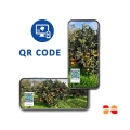 Limoni di Ribera - Qualità Premium | Arance e Olio Evo di Ribera dal tuo albero siciliano QR-code agrumi dal tuo albero