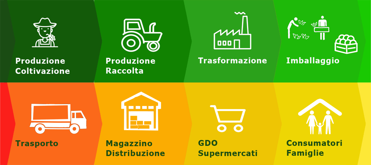 Filiera lunga nella grande distribuzione Filiera lunga nella grande distribuzione