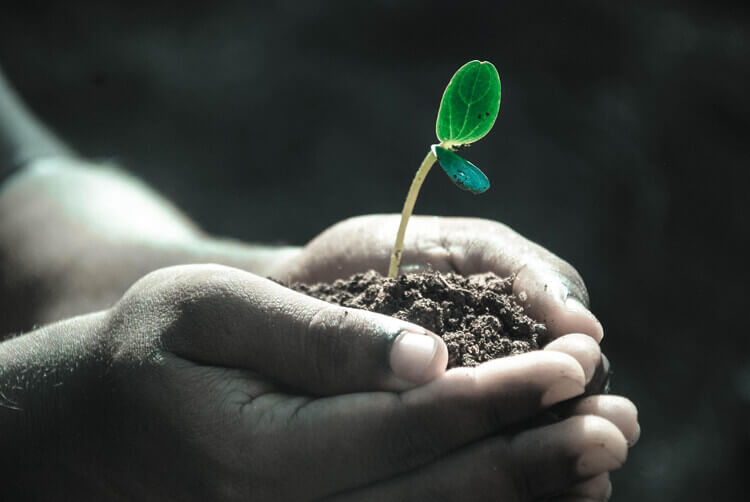 Cura dell'ambiente