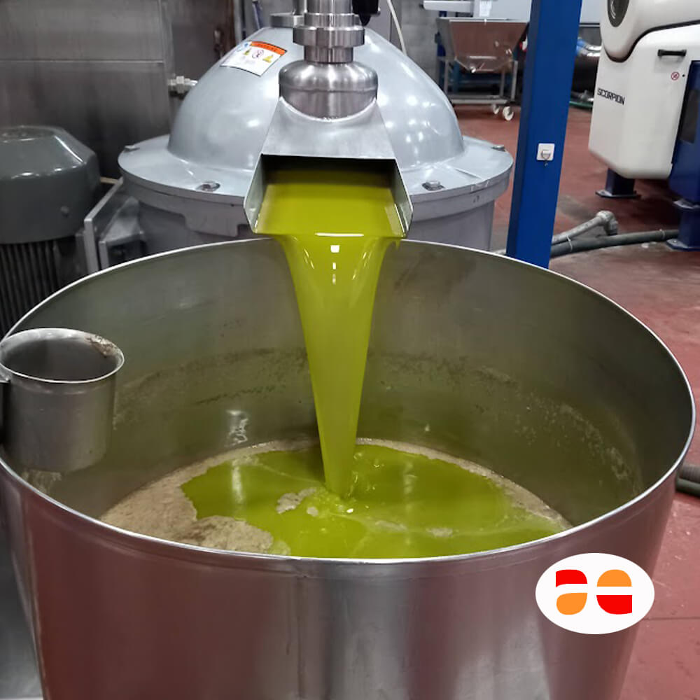 Come scegliere l'Olio extravergine di oliva dal frantoio