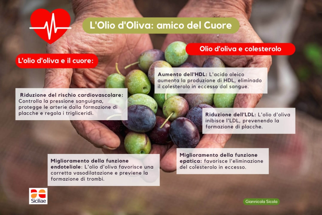 Olio d'Oliva: amico del Cuore