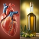Olio d'Oliva: amico del Cuore | Arance e Olio Evo di Ribera dal tuo albero siciliano Olio d'Oliva: amico del Cuore