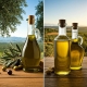 Quali sono le differenze tra olio extravergine e olio di oliva? | Arance e Olio Evo di Ribera dal tuo albero siciliano Quali sono le differenze tra olio extravergine e olio di oliva?