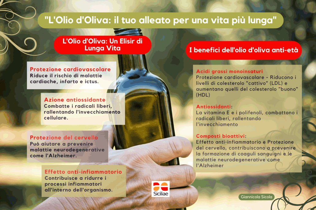 Olio di Oliva: il tuo alleato per una vita più lunga | Arance e Olio Evo di Ribera dal tuo albero siciliano infografica olio evo e longevità