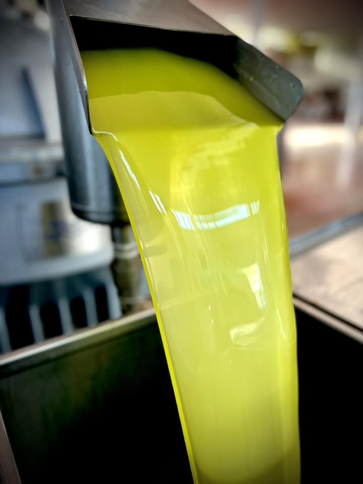 Olio evo colore e aspetto