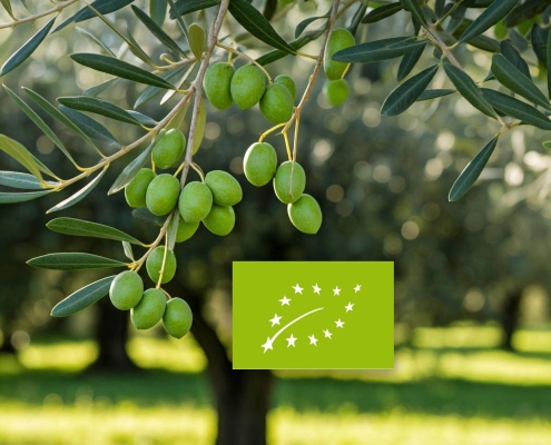 Guida sull'Olio Extravergine Bio