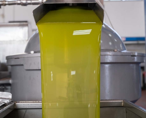 Perché scegliere Olio extravergine di oliva spremuto a freddo?