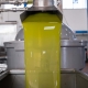 Perché scegliere Olio extravergine di oliva spremuto a freddo?